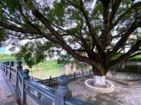 江濱公園