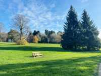 Birmingham in Bloom: From The Vale Lake to the Library Secret Garden