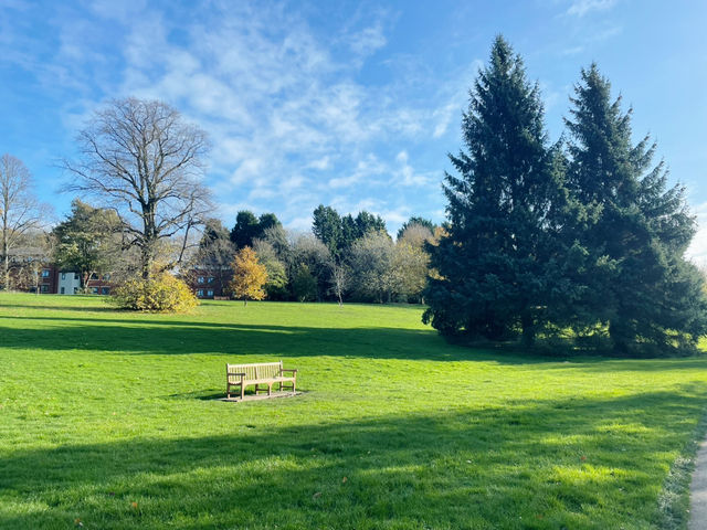 Birmingham in Bloom: From The Vale Lake to the Library Secret Garden