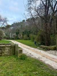 Art, Gardens, and the Segovia Countryside