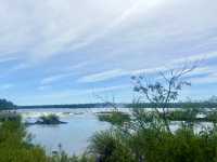 Quiet Trails & Jungle Sounds