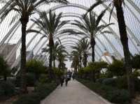 Valencia's Ciudad de las Artes y las Ciencias: a cruise stop