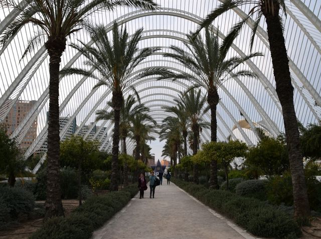 Valencia's Ciudad de las Artes y las Ciencias: a cruise stop