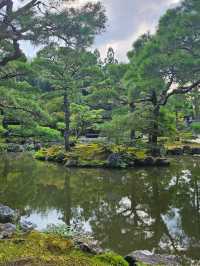 📅 Kyoto 3-Day Itinerary for First-Time Visitors