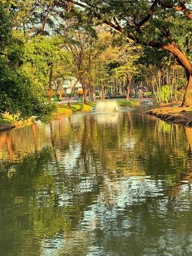 Where Locals Walk & Lizards Roam