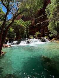 🏞Havasu falls - a hidden dessert paradise