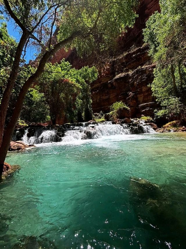 🏞Havasu falls - a hidden dessert paradise