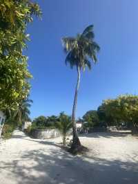 Why Cash Is King When Traveling in the Maldives