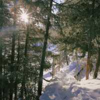 Kanas in Winter: A Frozen Fairy Tale of Snowbound Adventures