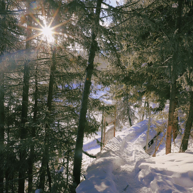 Kanas in Winter: A Frozen Fairy Tale of Snowbound Adventures