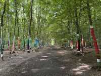 Art sculptures lost in a forest
