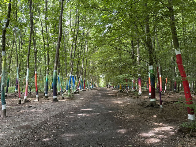 Art sculptures lost in a forest
