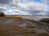 Magor Marsh and the Caldicot Levels 