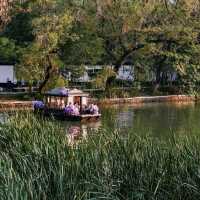 🚣 Baohe Park Boats: Scenic Rides & Lake Views