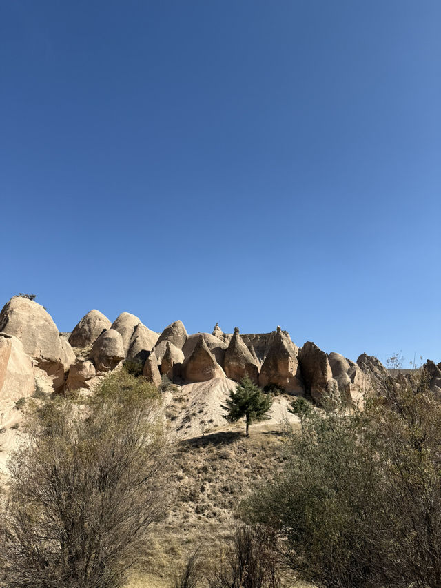 Cappadocia’s Devrent Valley: Nature’s Wild Imagination Park 🌟