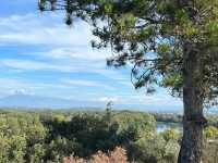 🇫🇷 View Over Avignon