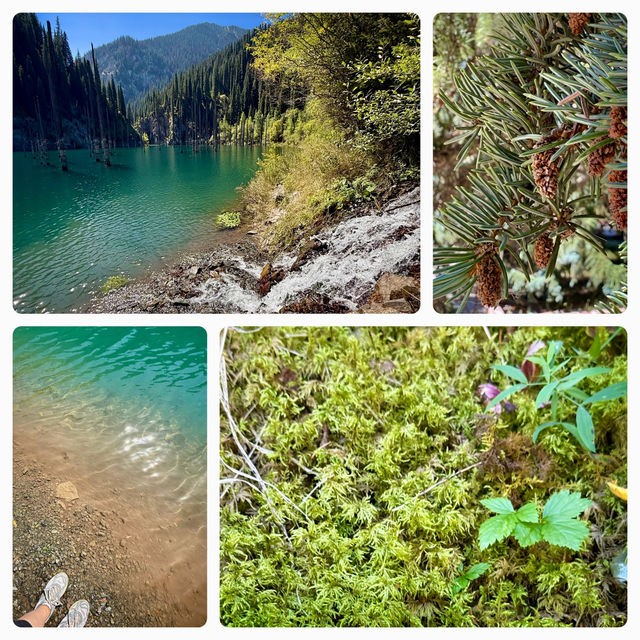 Озеро Каиды (Казахстан) Озеро Каиды (Казахстан)