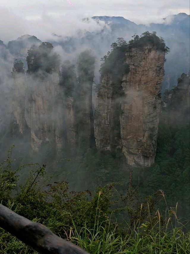Как Увидеть парк Аватар без толп!