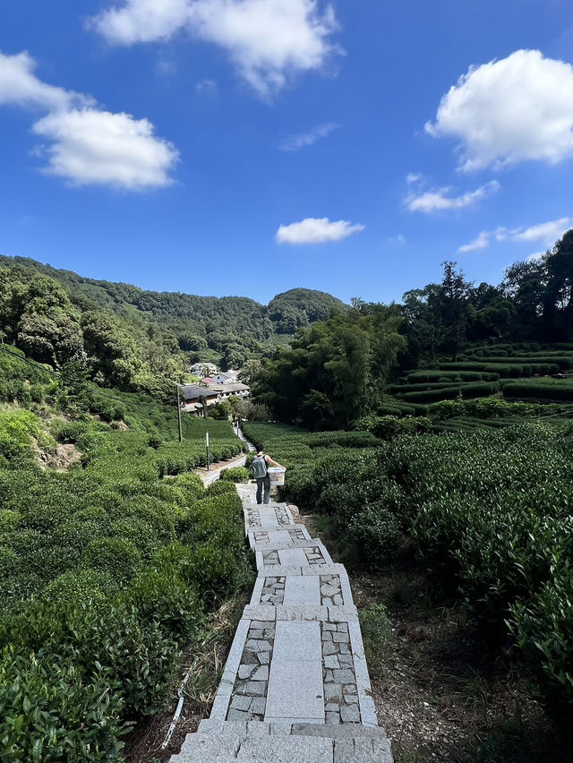 Hangzhou in One Day: What I Wish I Knew Before Going Hangzhou in One Day: What I Wish I Knew Before Going