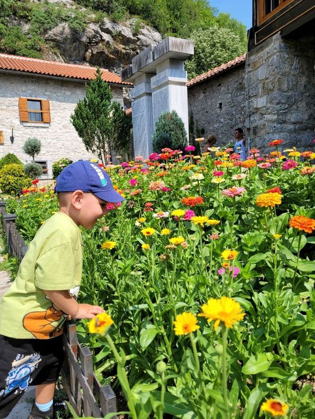 Step Into History at Morača Monastery: Vibes, Views & Ultimate Calm ✨⛪️