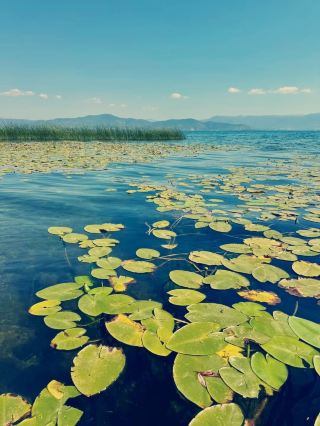 Ohrid in One Cut: A Timeless Macedonian Summer