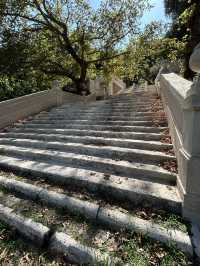 The Secret Garden of Trastevere: Where History Meets the Wilderness