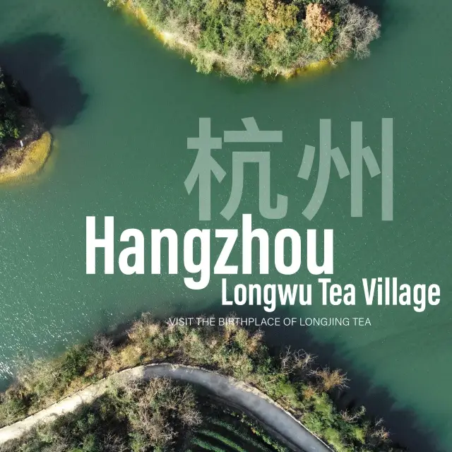 Longwu Tea Village without Travel Agency 🍵