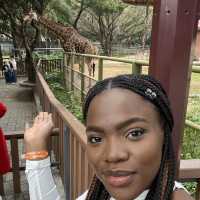 China’s first ever Zoo with uncaged animals🫢