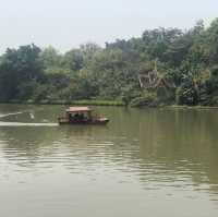 Manting Park - expect the unexpected 
