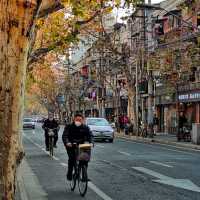 The Enchanting Xuhui District