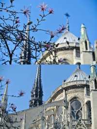 Upstairs in Notre Dame, there are no monsters