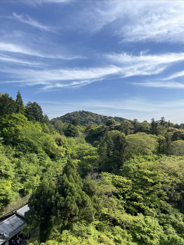 Japan 🇯🇵 Kyoto Kiyomizu-dera Temple Check-in Guide ⛩️