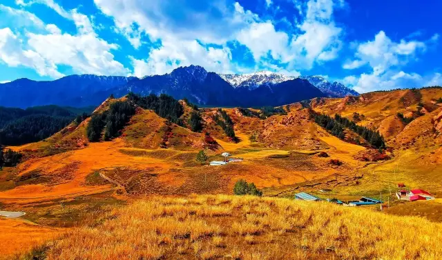 Qilian Mountain National Forest Park