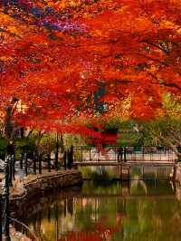 不是日本,真的真的是上海!!