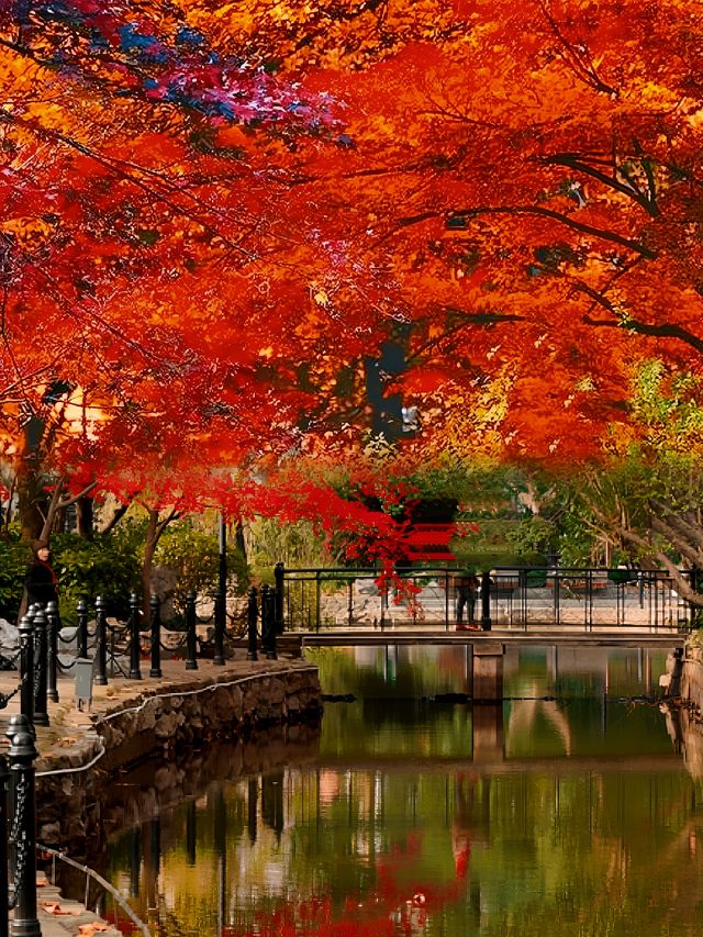 不是日本,真的真的是上海!! 不是日本,真的真的是上海!!