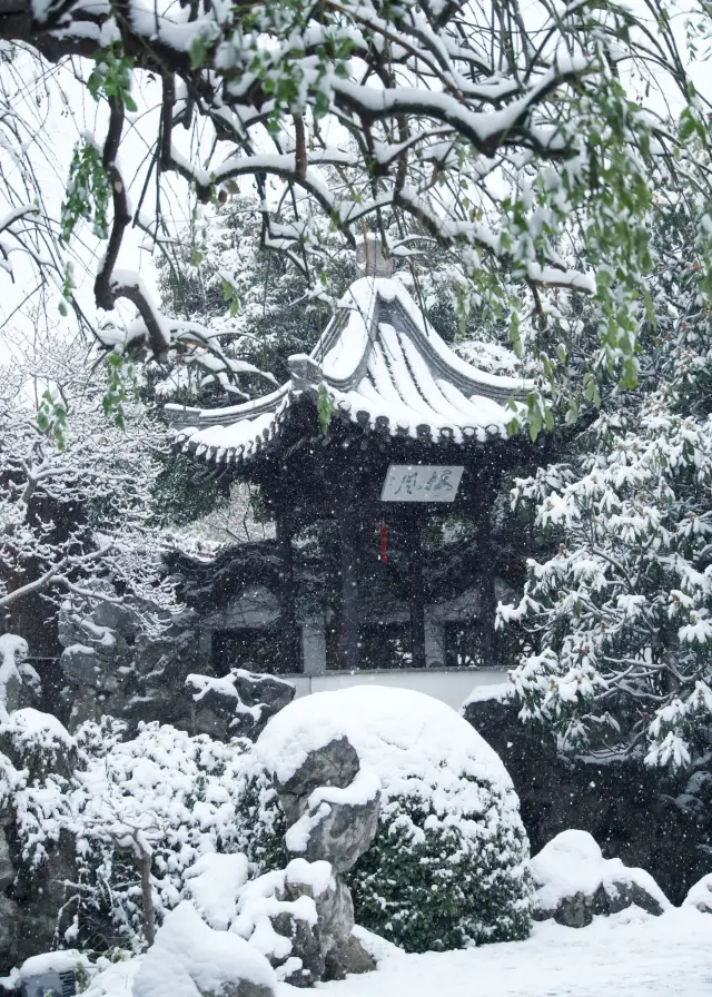 何園に大雪が降りました！友達、早く見に来てください