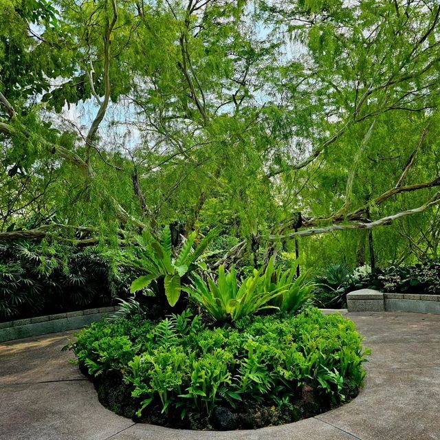 新加坡遊玩推薦丨國家蘭花園