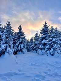 剛從來長白山雪嶺回來，強烈推薦小土豆寶們