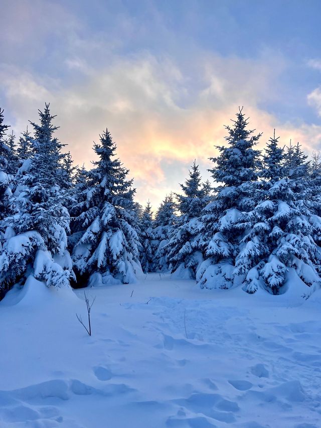 剛從來長白山雪嶺回來，強烈推薦小土豆寶們