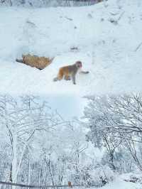 邂逅四川賞雪勝地綿陽九皇山yyds