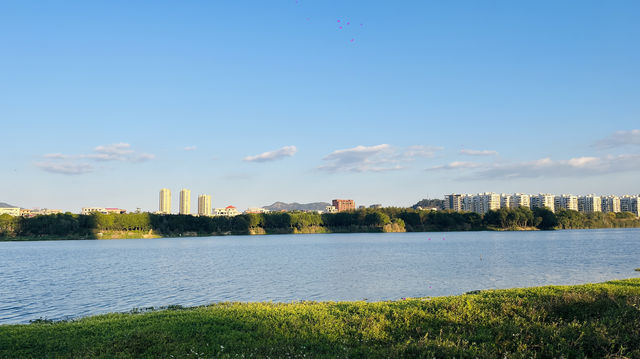 南安打卡·城西濕地公園