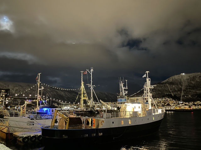 挪威特羅姆瑟Tromso—冰雪極致的美！