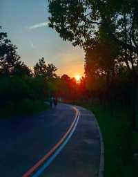 金海濕地公園,這裡不僅僅只有濕地