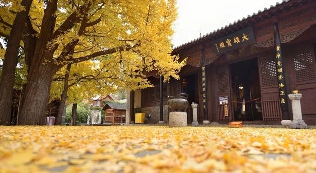 來濟南一定要去千年古剎—大靈巖寺