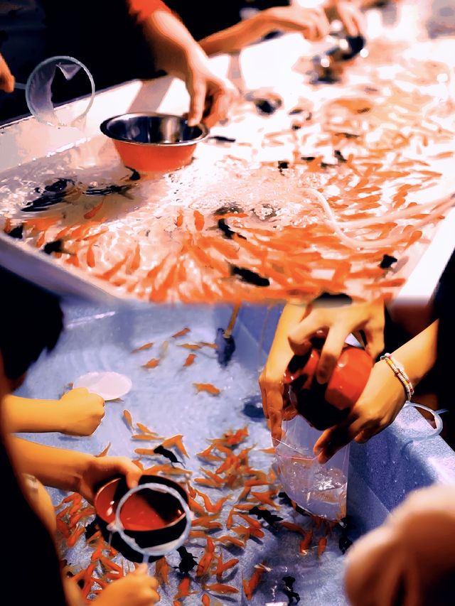 上海也有樱桃小丸子同款紙撈金魚了