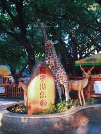 在麓湖公園找到了廣州版的“黃鶴樓”！!