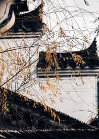 武義璟園|這裡，藏著江南園林的詩情畫意起源