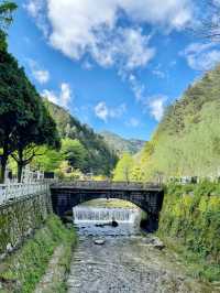 小眾旅遊地百山祖