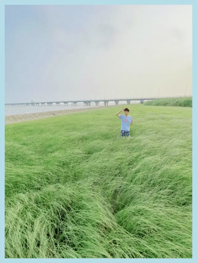 The landmark of Magic City, Shanghai's backyard, the secluded island, is quietly cleansing and beautiful