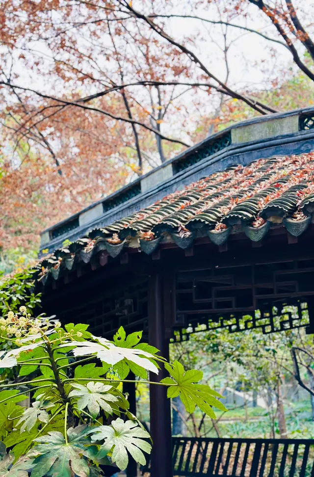 上海川沙古鎮一個被忽略的小鎮！！